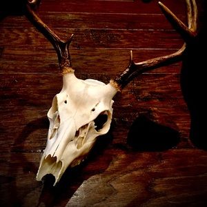 Meet your Posher, Dawn